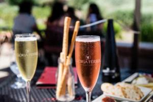 2022年卡塔尔世界杯，全球目光的焦点世界杯时间