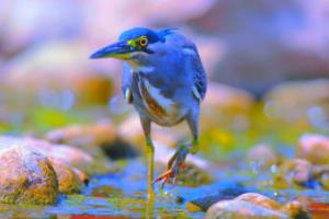 卡塔尔，这个 tiny nation 的世界杯传奇世界杯2026是哪个国家举办