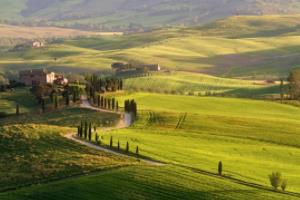 2026年世界杯，巴西再迎全球足球盛事2026年世界杯在哪个城市举行